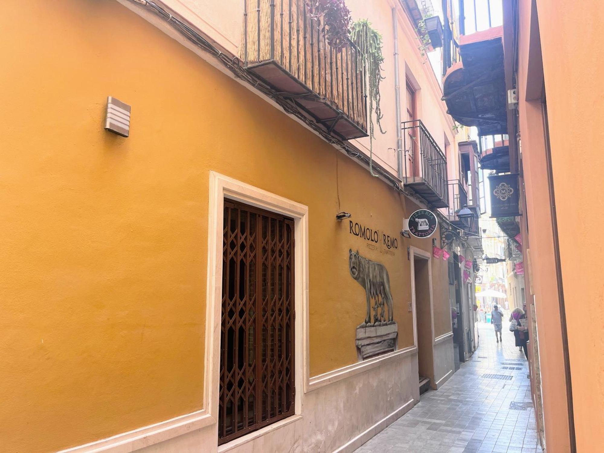 Apartment Homely Pozos Dulces 8