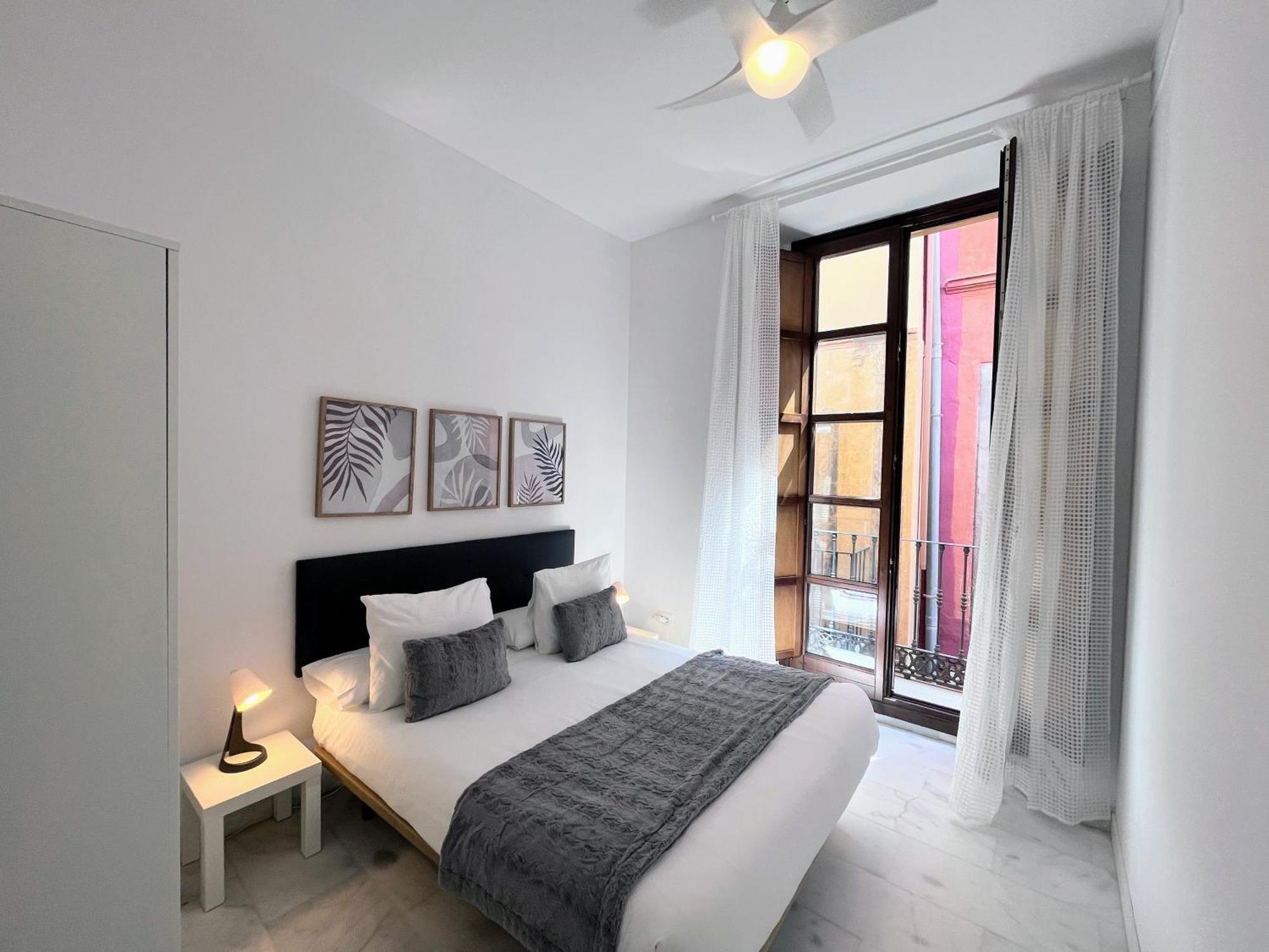 Homely Pozos Dulces 8 Apartment *