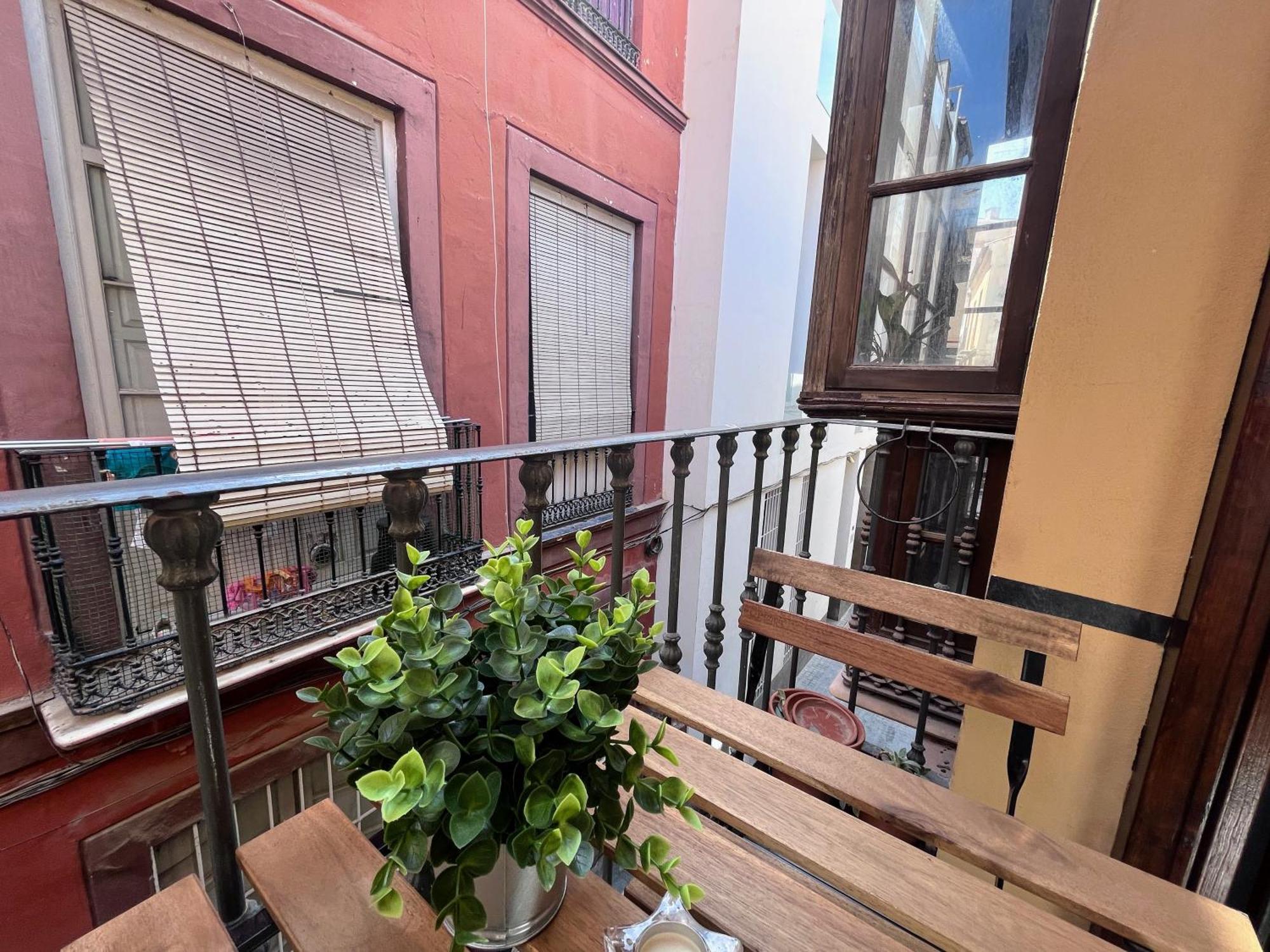 Apartment Homely Pozos Dulces 8